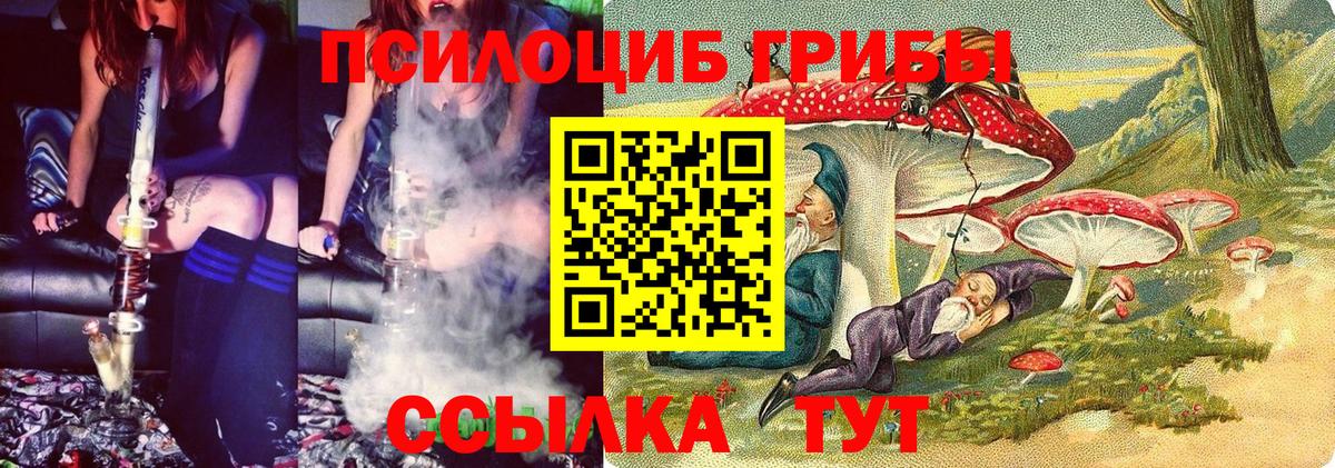 Псилоцибиновые грибы мицелий Лабинск