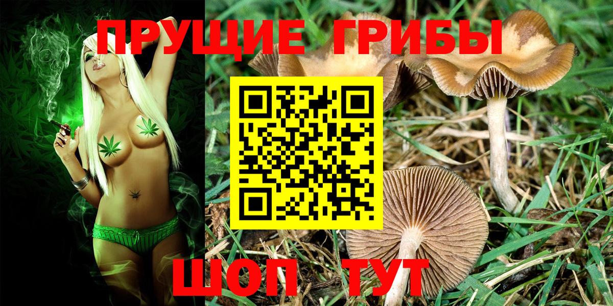Лабинск  Псилоцибиновые грибы Psilocybine cubensis  Галлюциногенные грибы Psilocybine cubensis  Вход с VPN 